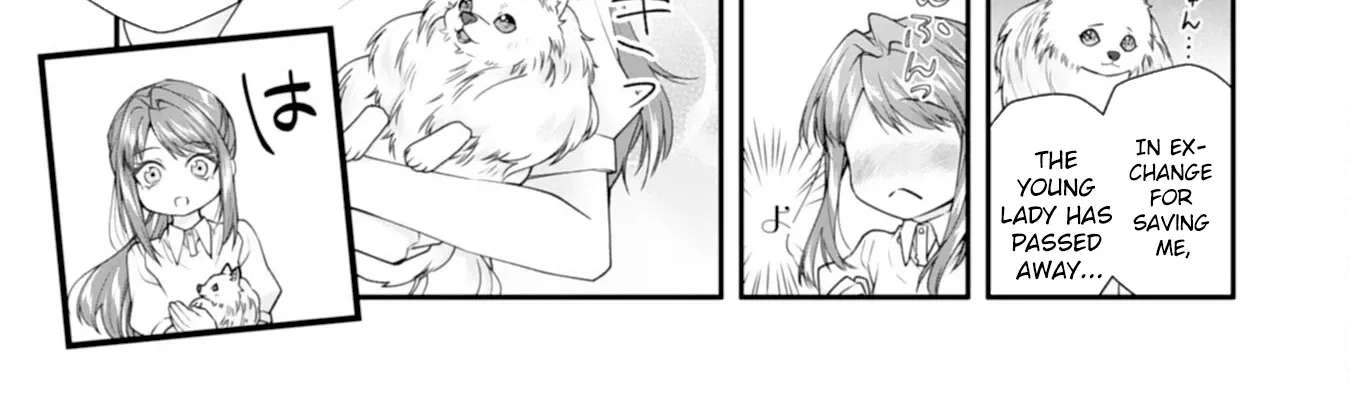 A Cat-Eared Girl's Heartwarming Meals for Fluffy Creatures Chapter 1 - page 22