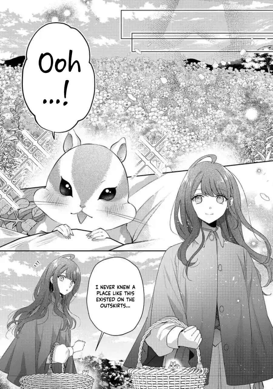 My Fiancé, Who Used to Hate Me, Turned into a Squirrel and Came to Me for Help. Chapter 5 - page 42