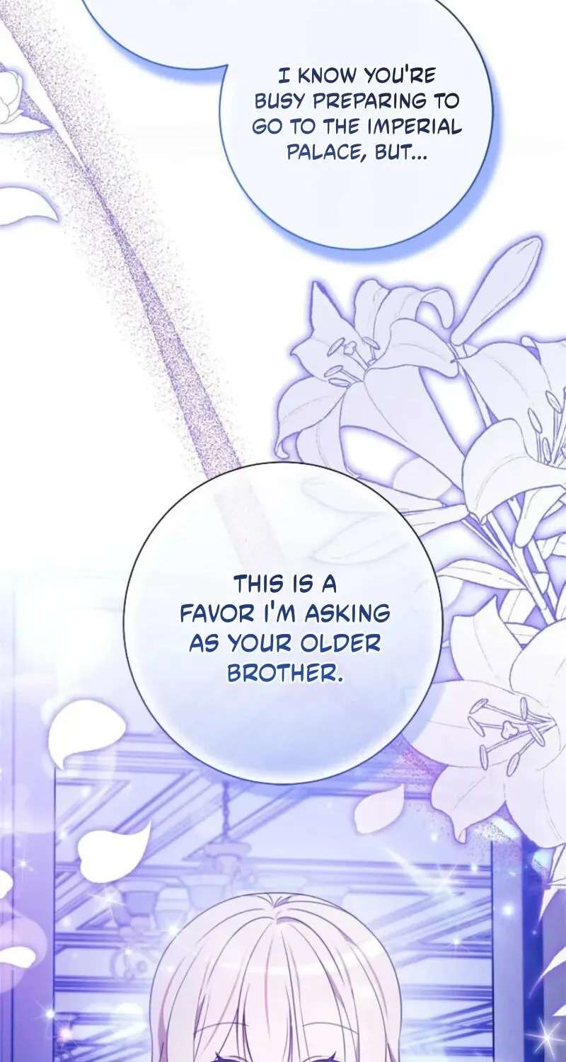 The Count's Beloved Contract Young Lady Chapter 47 - page 5