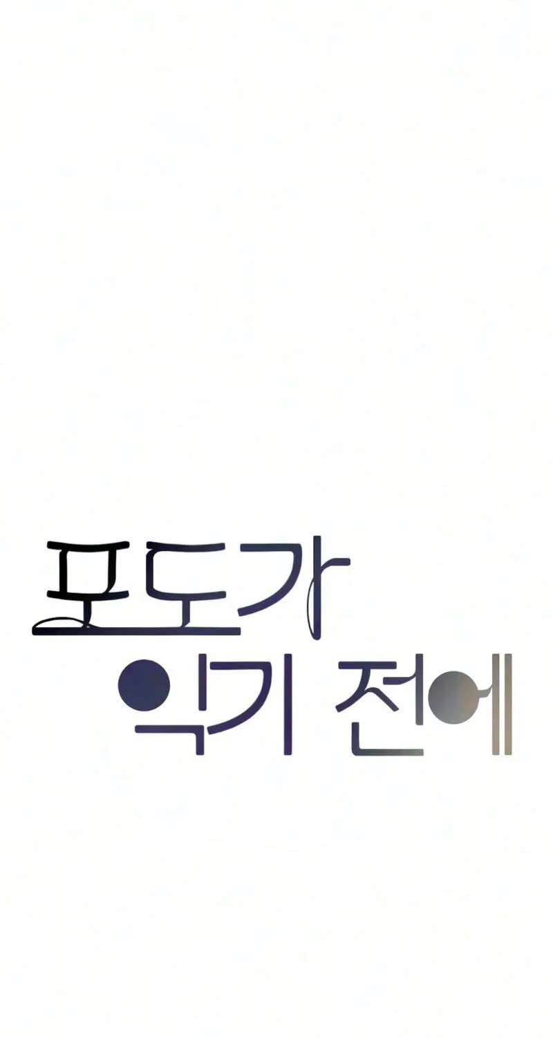 Before the grapes ripen Chapter 53 - page 29