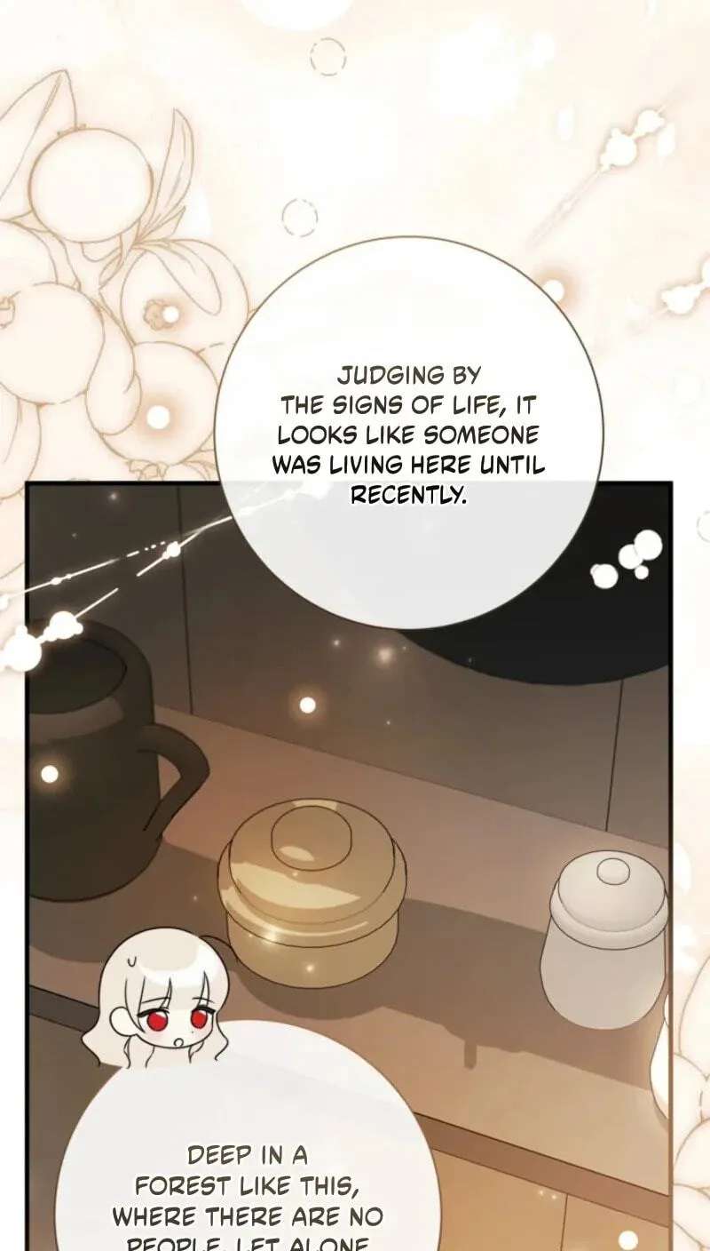 The Count's Beloved Contract Young Lady Chapter 49 - page 53