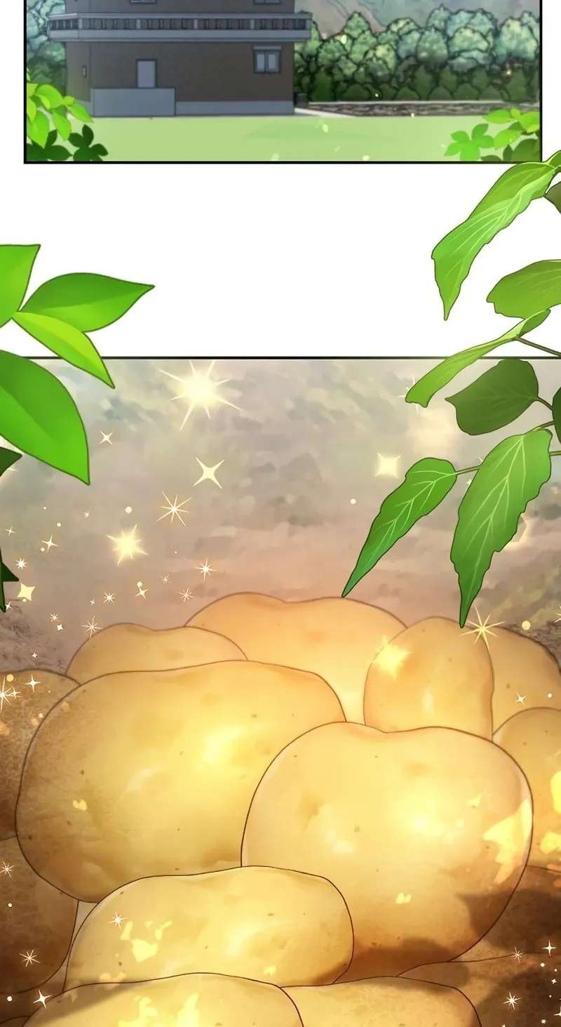 After Returning to Farming, National-Level Tycoons Flock In Chapter 2 - page 65