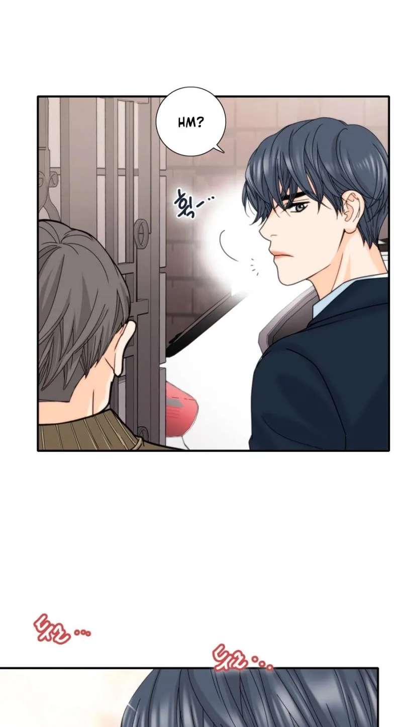 Contract Bride Chapter 14 - page 45