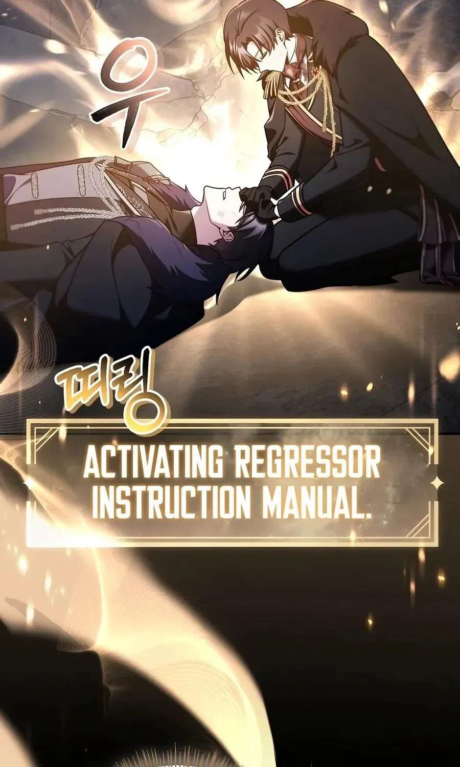 Regressor instructional manual Chapter 201 - page 28