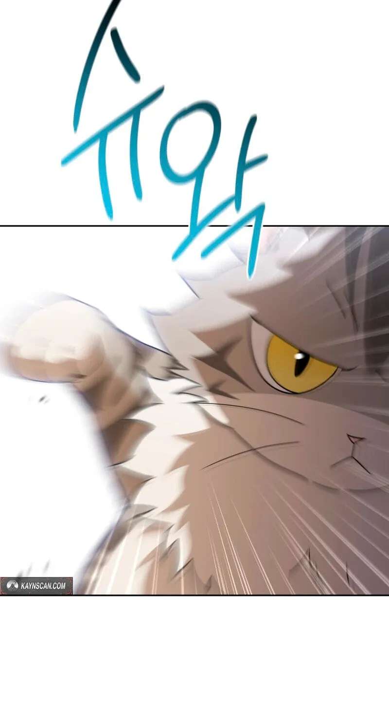 Hello, Mr. Veterinarian! Chapter 146 - page 60