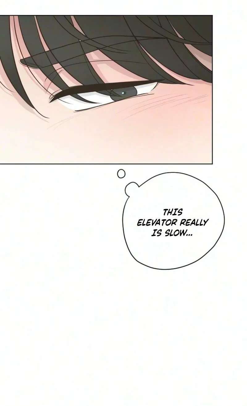 I'm Your Revenge Chapter 22 - page 46