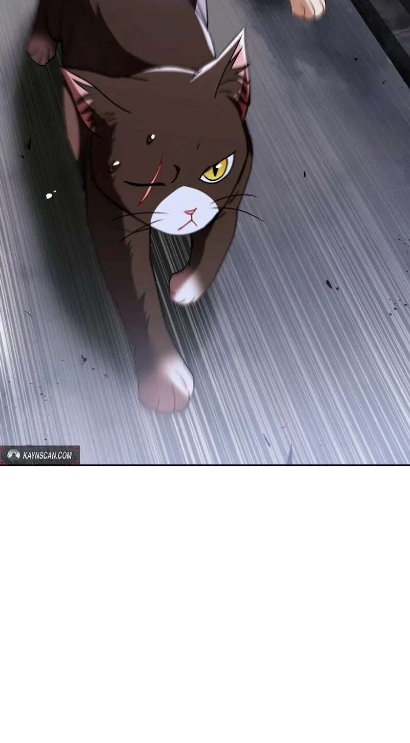 Hello, Mr. Veterinarian! Chapter 146 - page 84