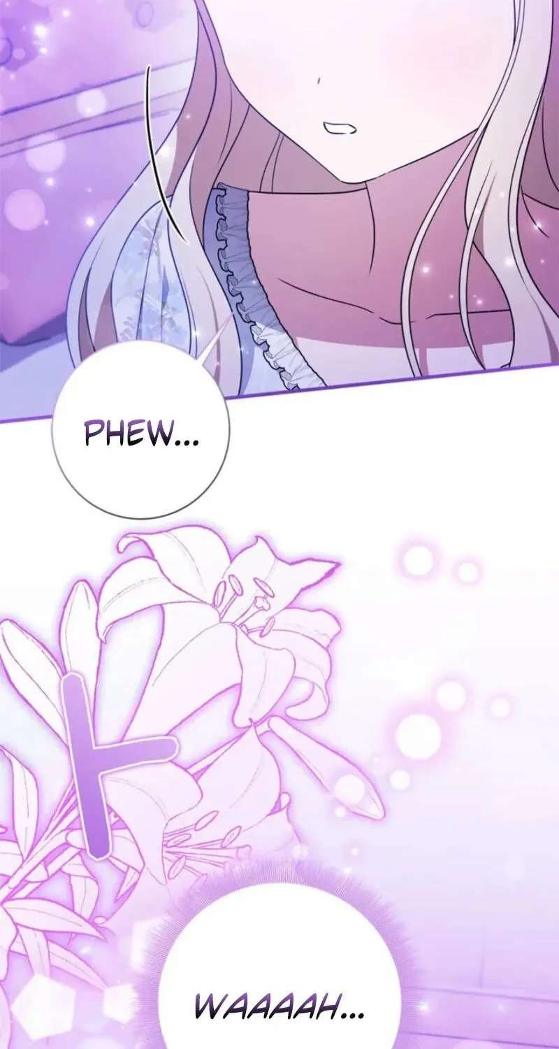 The Count's Beloved Contract Young Lady Chapter 45 - page 24