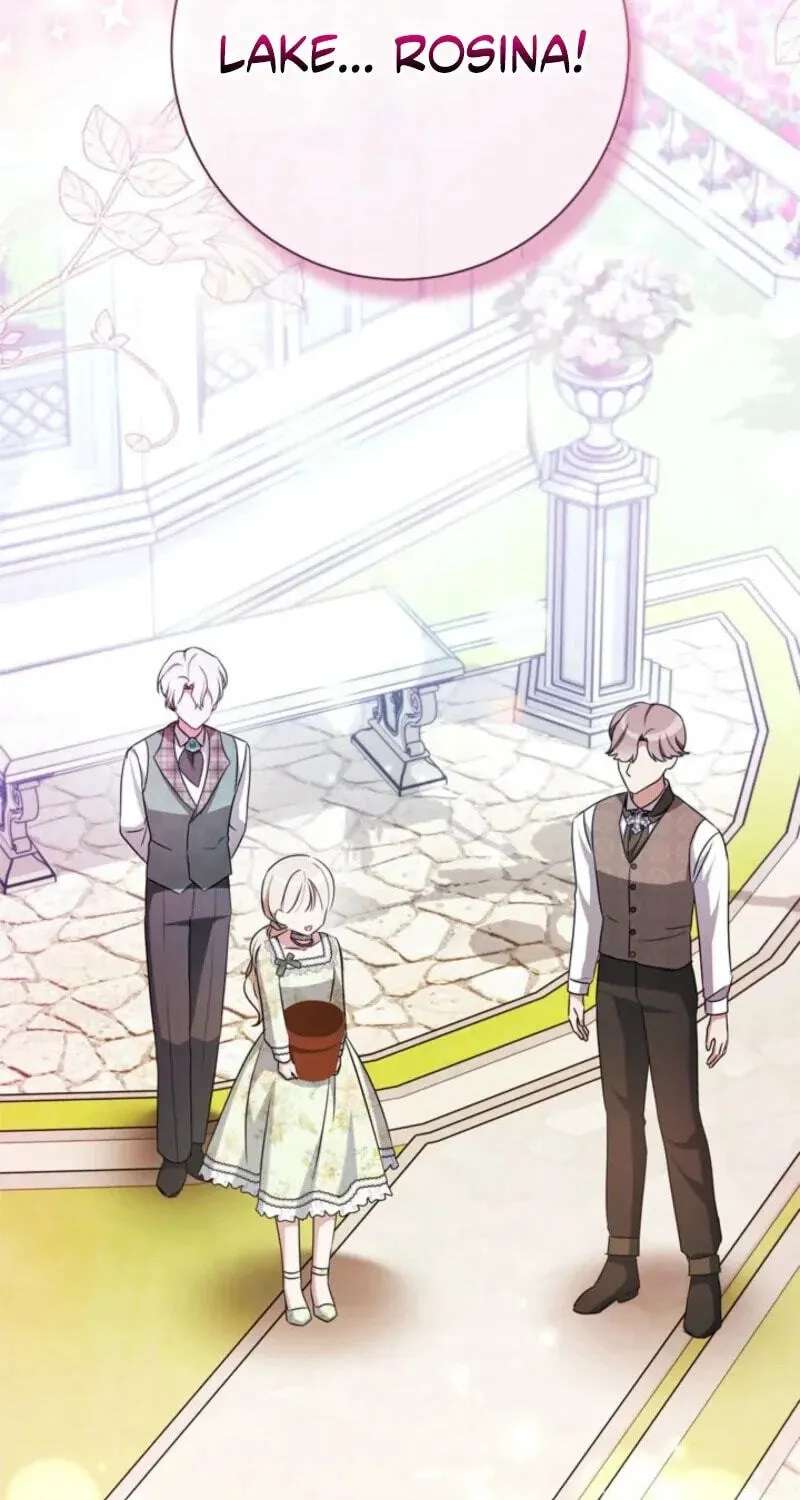 The Count's Beloved Contract Young Lady Chapter 44 - page 51