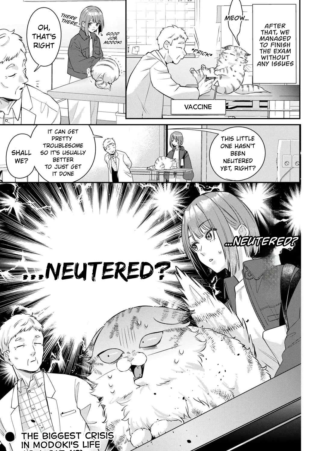 Is the Cat I Picked Up Really a Cat? Chapter 2.1 - page 14