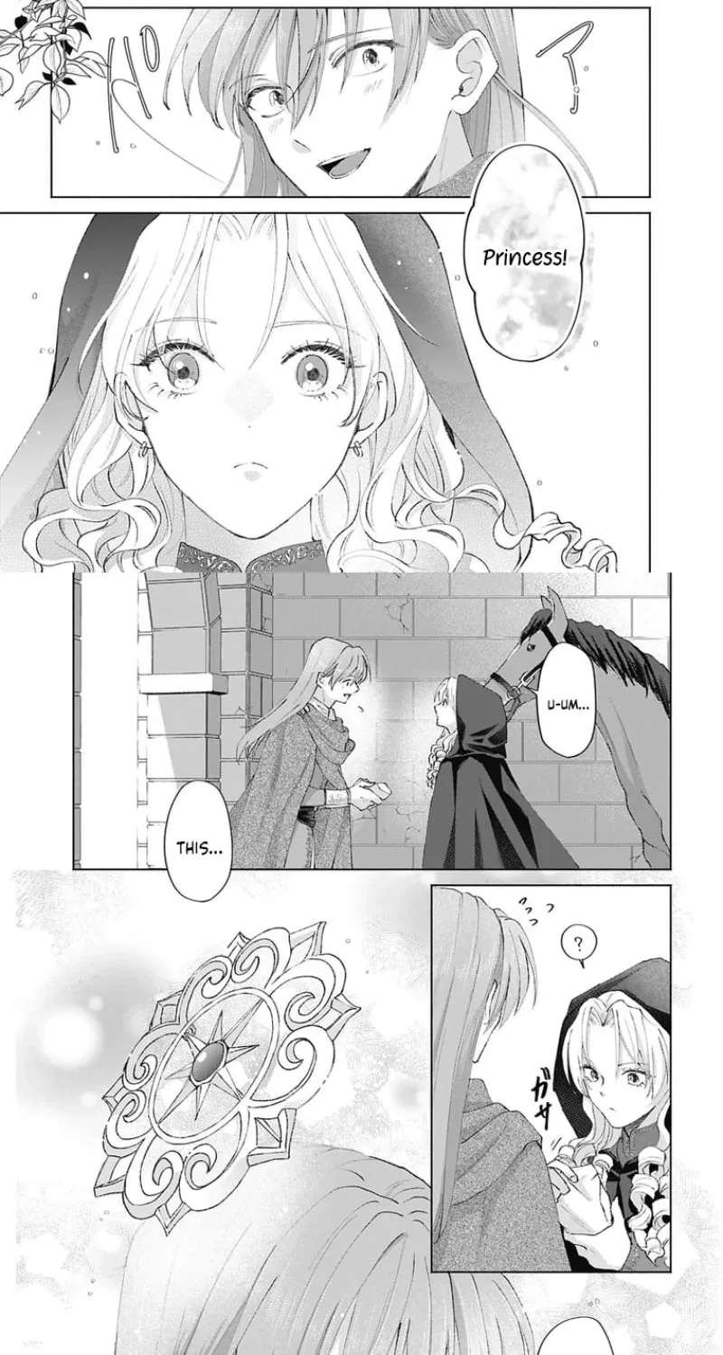 Super Beauty & the Beast: I Kissed Him and He Turned into a Prince?! Now I Have to Recast the Spell! Chapter 2 - page 24