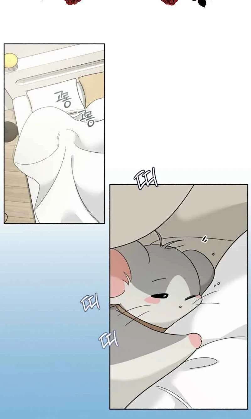 My Rat Is An S-Class Awakener Chapter 40 - page 2