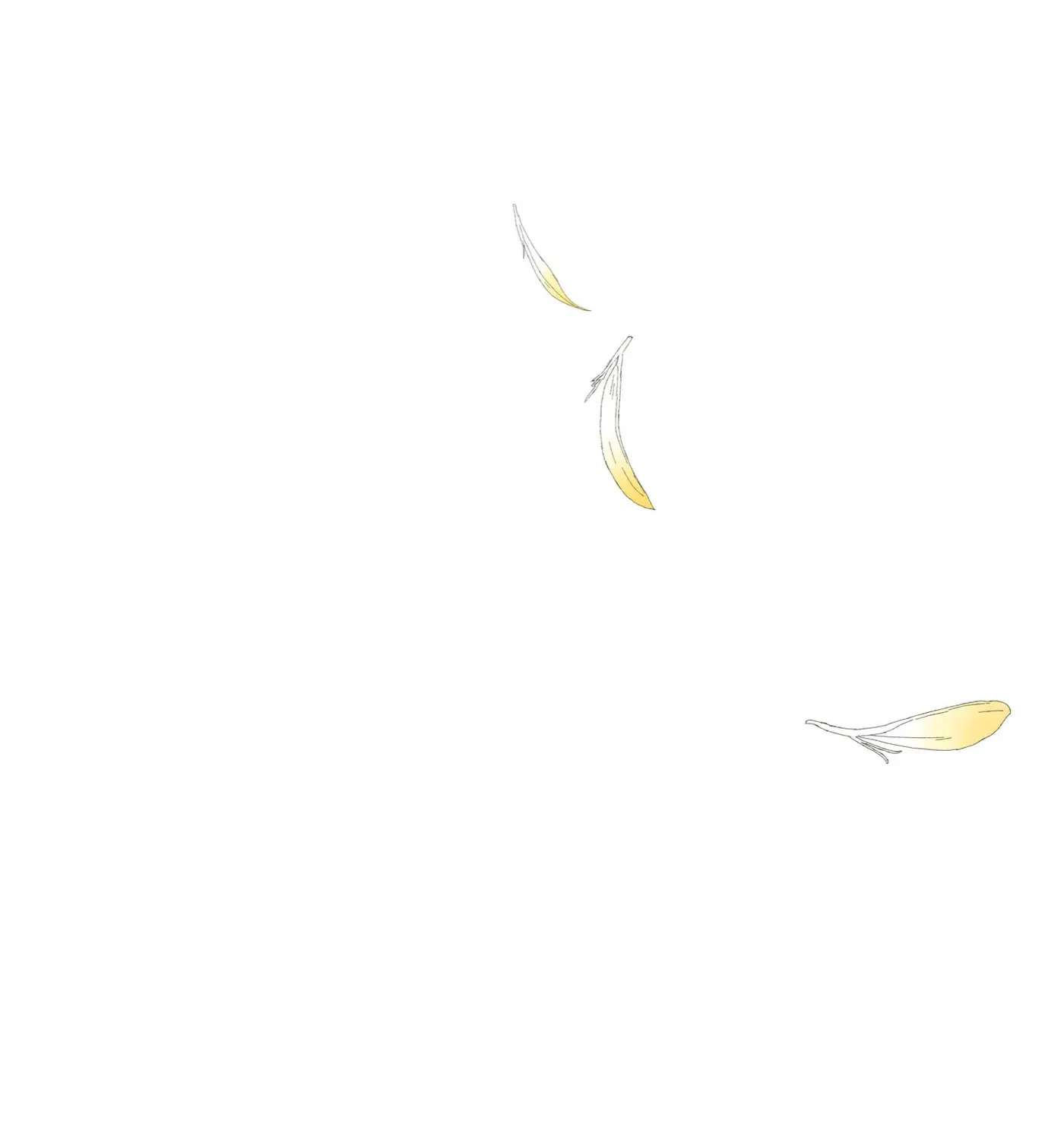 Untitled Flowers ~We Without Eggs~ Chapter 10 - page 3