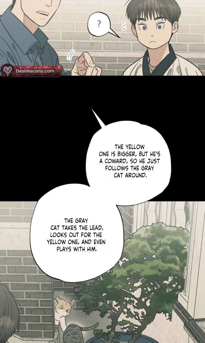Cat Choice Chapter 28 - page 16