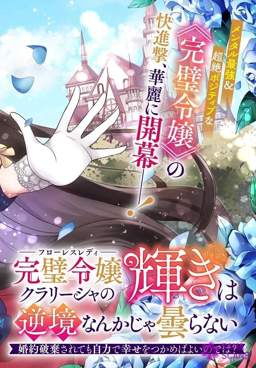 Kanpeki Reijo Kurarisha No Kagayaki Wa Gyakkyo Nanka Ja Kumoranai Konyaku Haki Sarete Mo Jiriki De Shiawase Otsukameba Yoi Node Wa? Chapter 1 - page 2