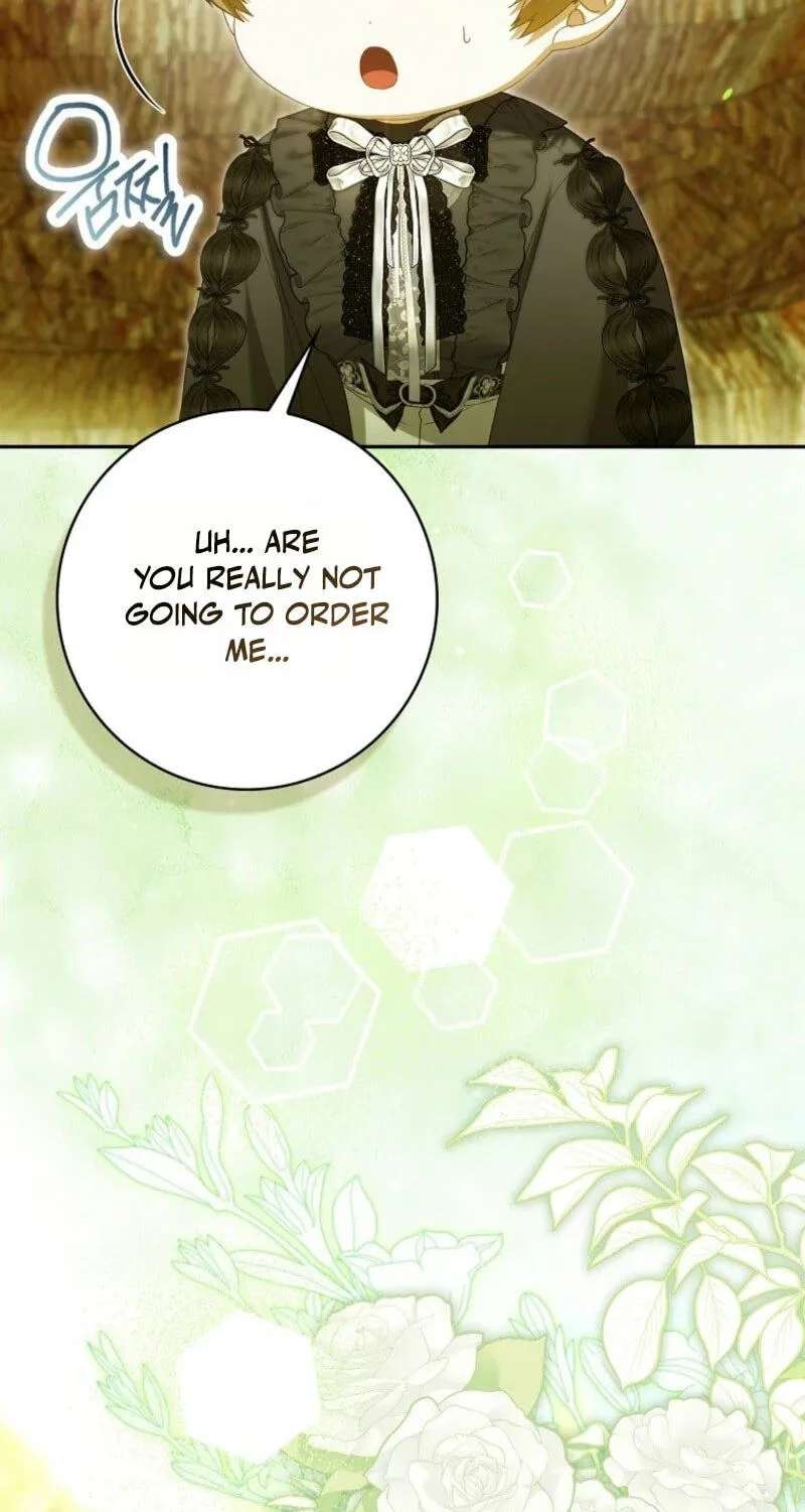 The Baby Fairy is a Villain Chapter 73 - page 17