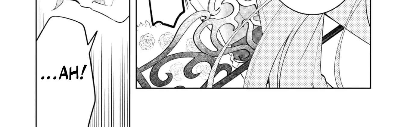 The Third Son of the Heiburg Family Is a Little Devil Shota Chapter 2 - page 37