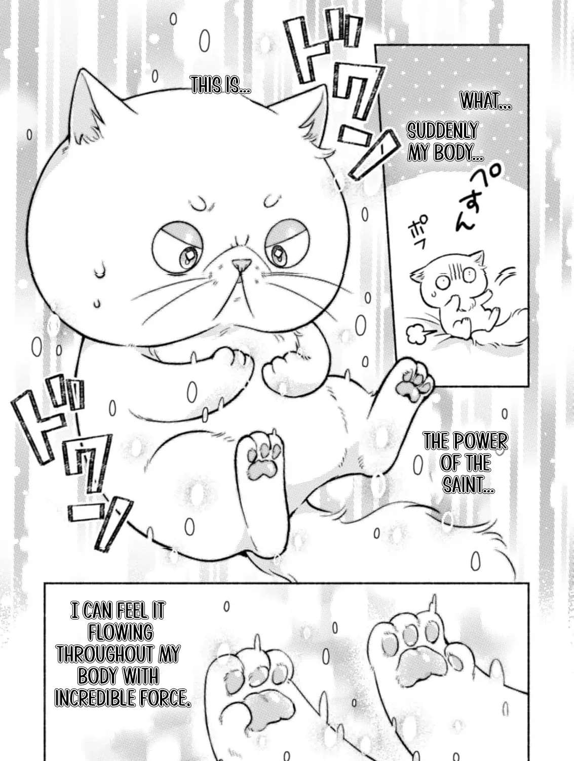 Nekura Kishi ni Yoru Dekiai Mankitsu-chuu nu Busa Neko, Jitsu wa Seijo desu! Chapter 4 - page 36