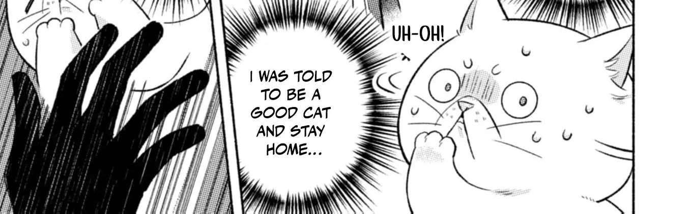 Nekura Kishi ni Yoru Dekiai Mankitsu-chuu nu Busa Neko, Jitsu wa Seijo desu! Chapter 3 - page 51