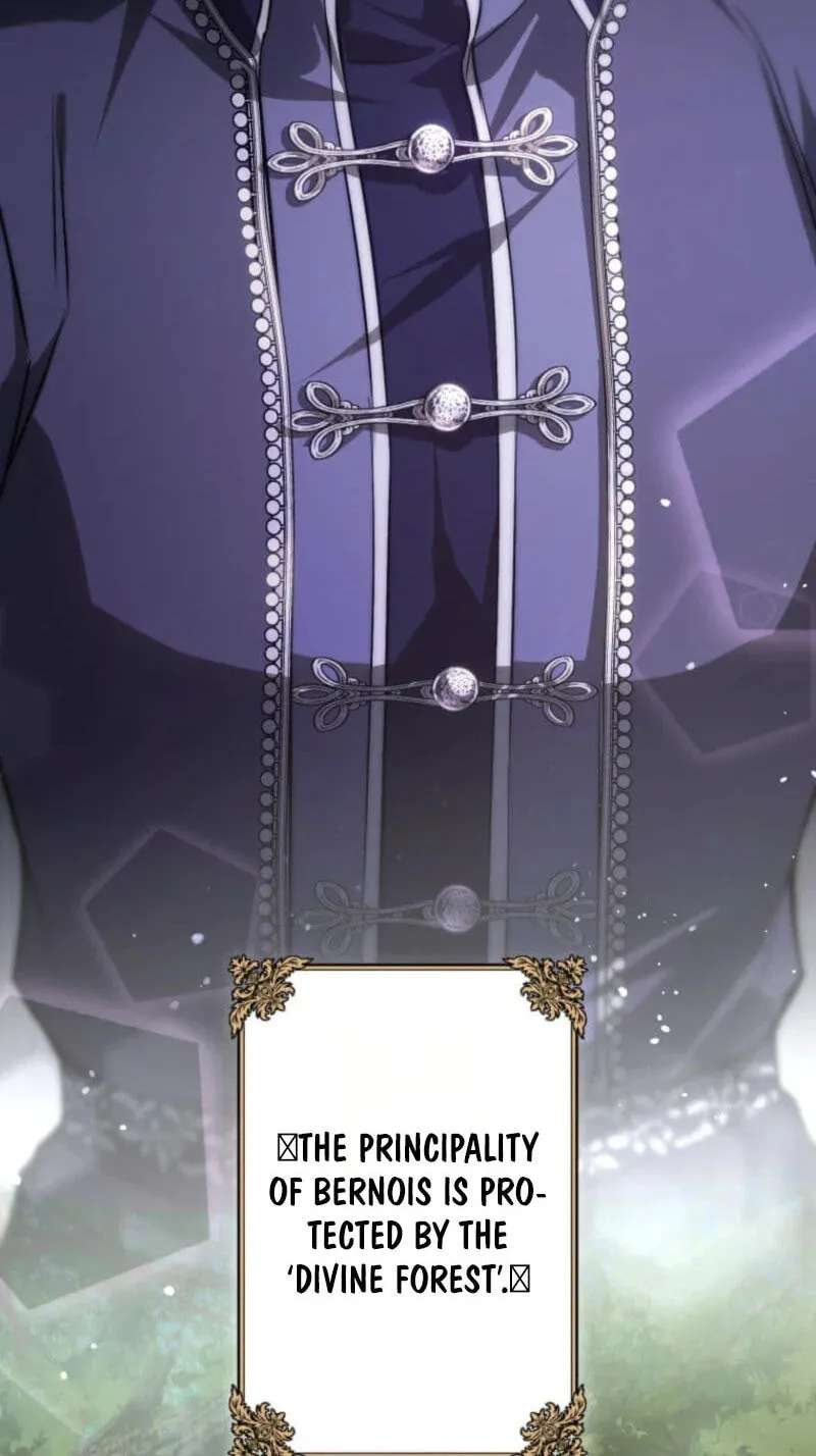 I Was Reincarnated as the Villainess' Sister Chapter 31 - page 47