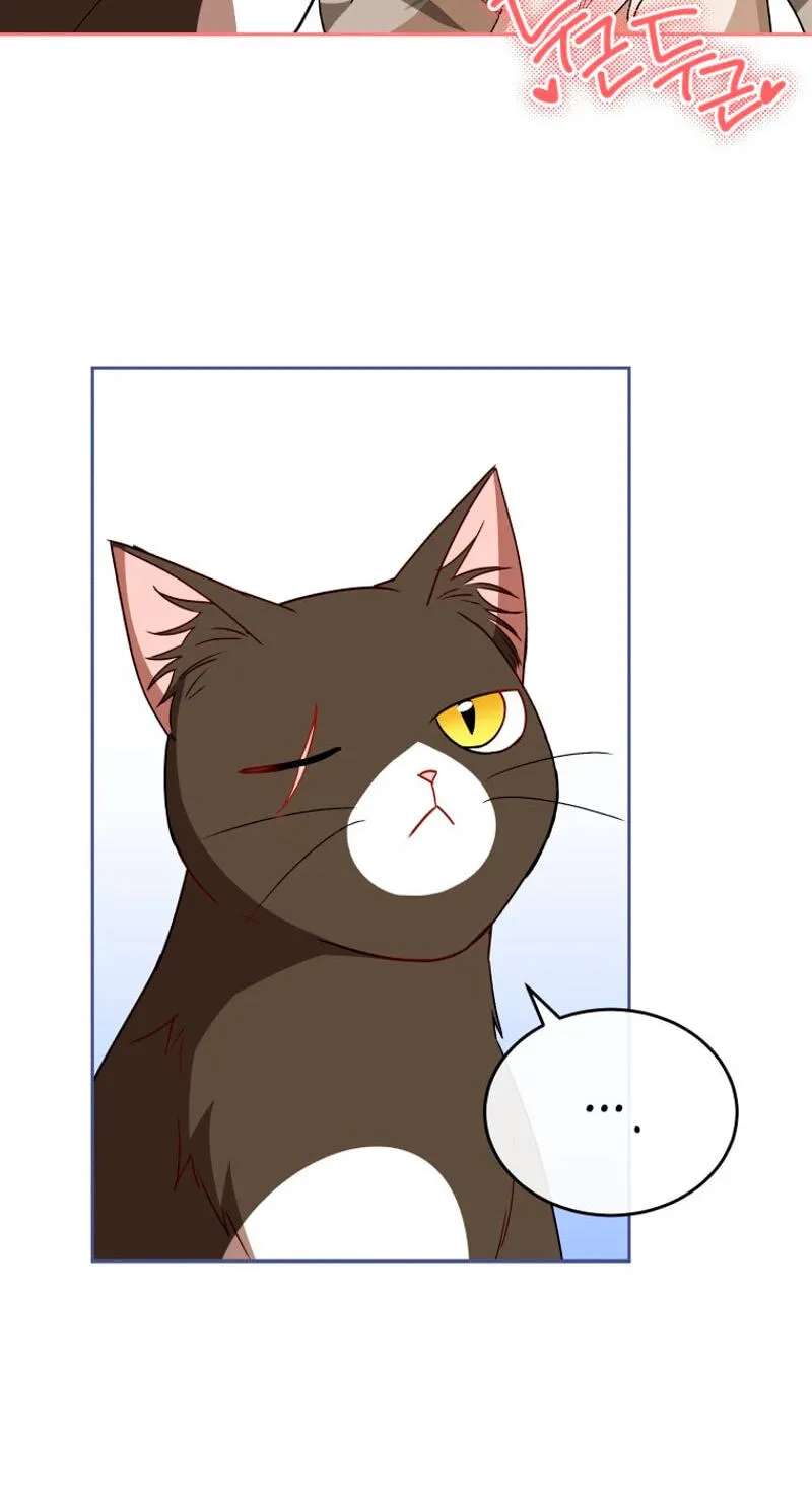 Hello, Mr. Veterinarian! Chapter 146 - page 13