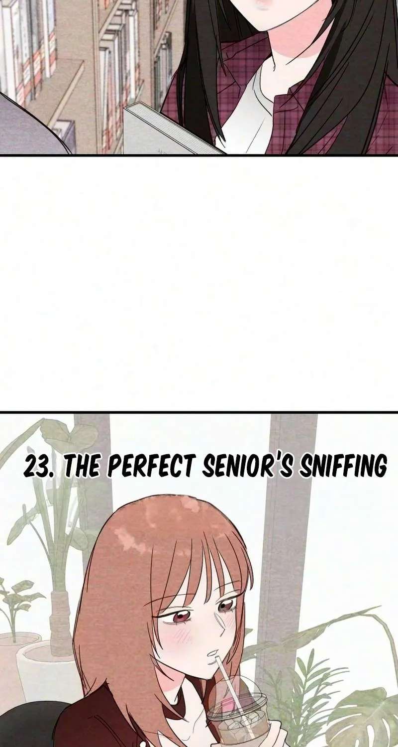 Perfect Senior's Hide! Chapter 23 - page 10