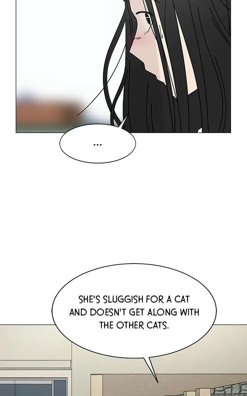 Sol in Wonderland Chapter 15 - page 9
