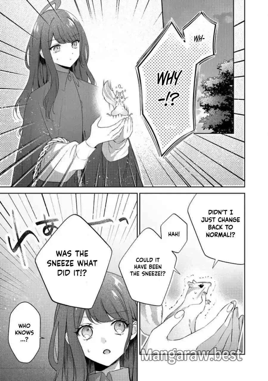 My Fiancé, Who Used to Hate Me, Turned into a Squirrel and Came to Me for Help. Chapter 5 - page 62