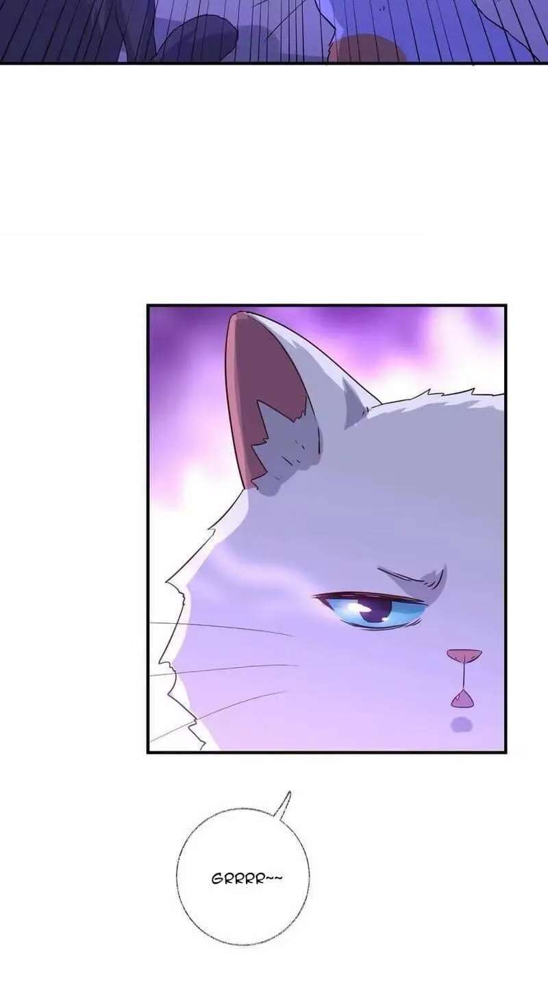 A Cat Has Nine Lives Chapter 46 - page 29