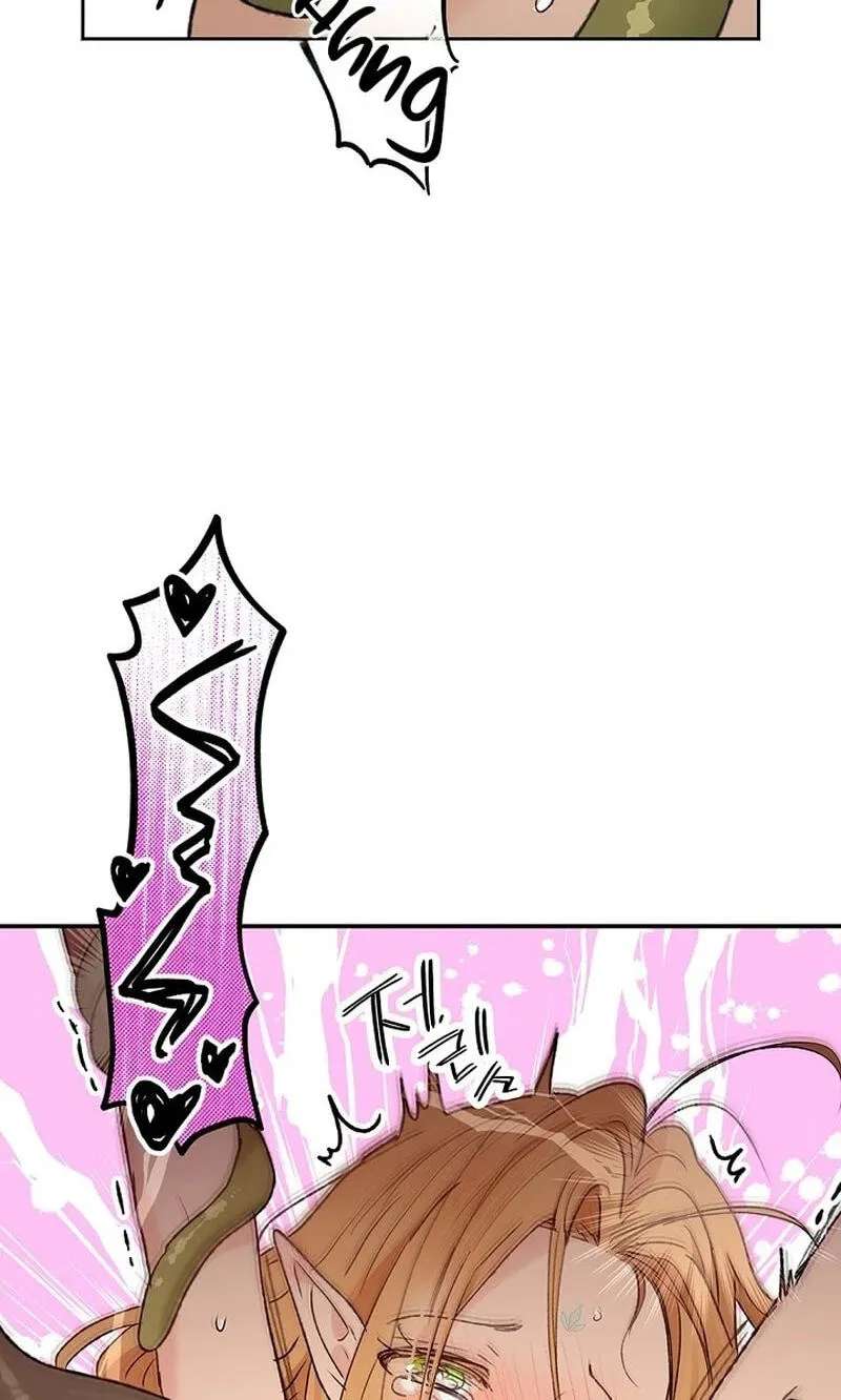 The Mating of Elves Chapter 69 - page 69
