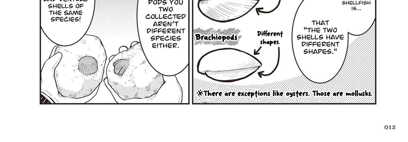 Introduction to Mineralogy Chapter 29 - page 24