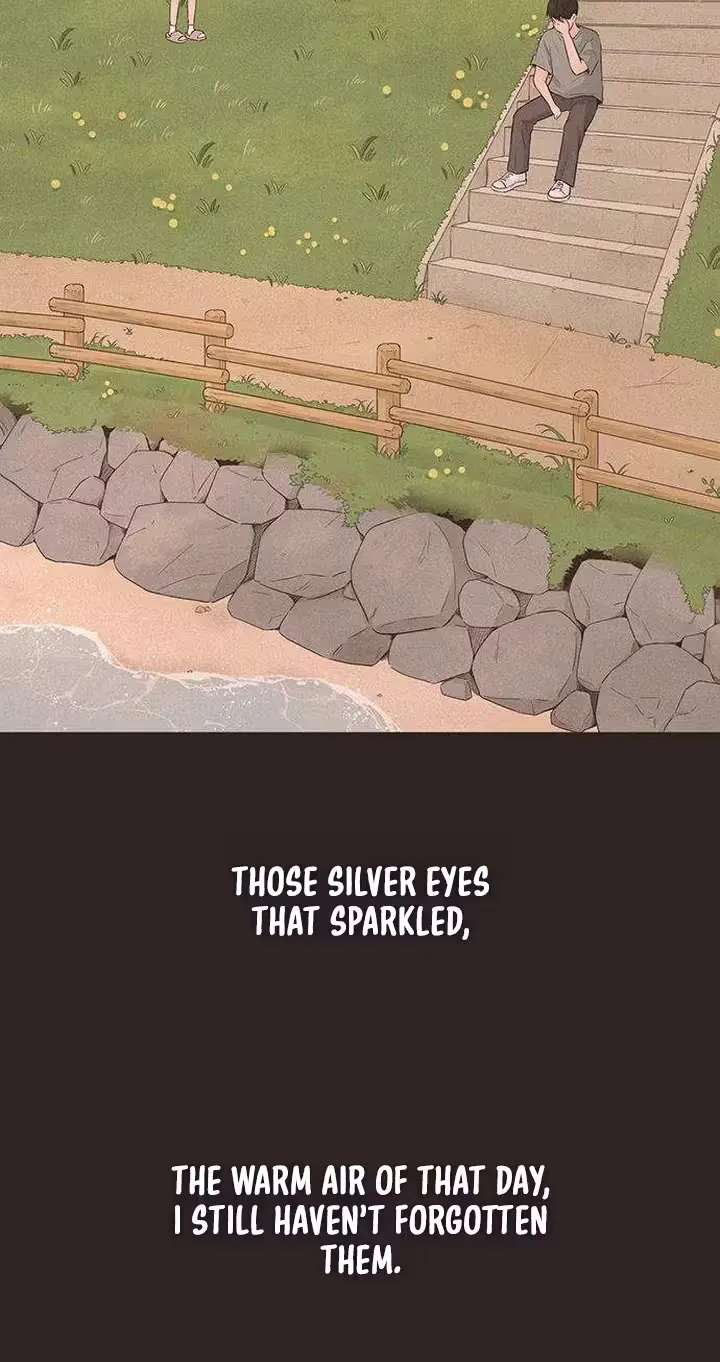 The Silver Eyes Sparkled Chapter 2 - page 34