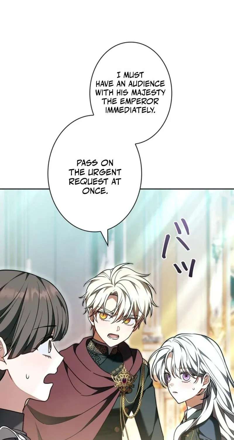 I Was Supposed to Be a Stalker Lady, but Somehow I’m Being Adored Instead Chapter 50 - page 16