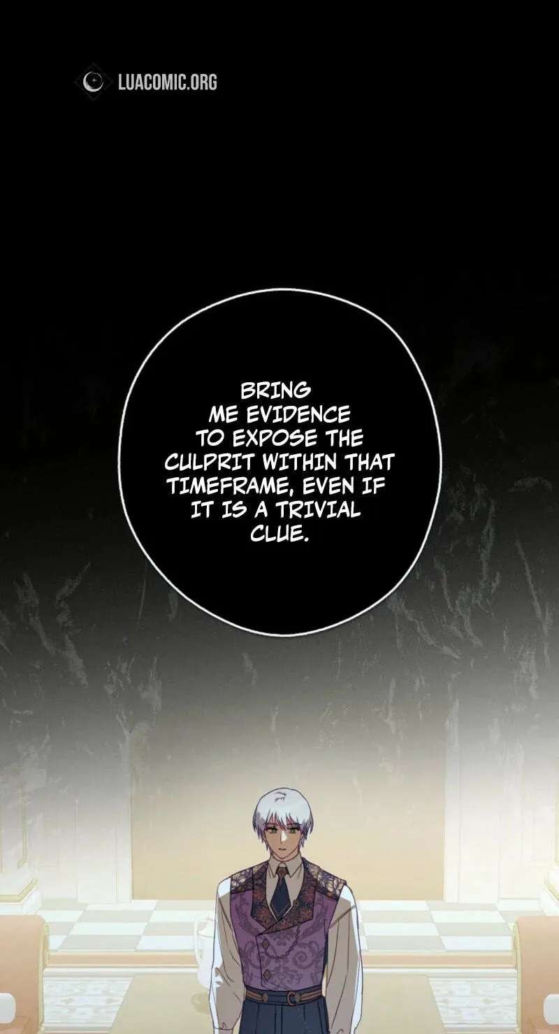Cinderella's Pocket-Sized Protector Chapter 55 - page 94
