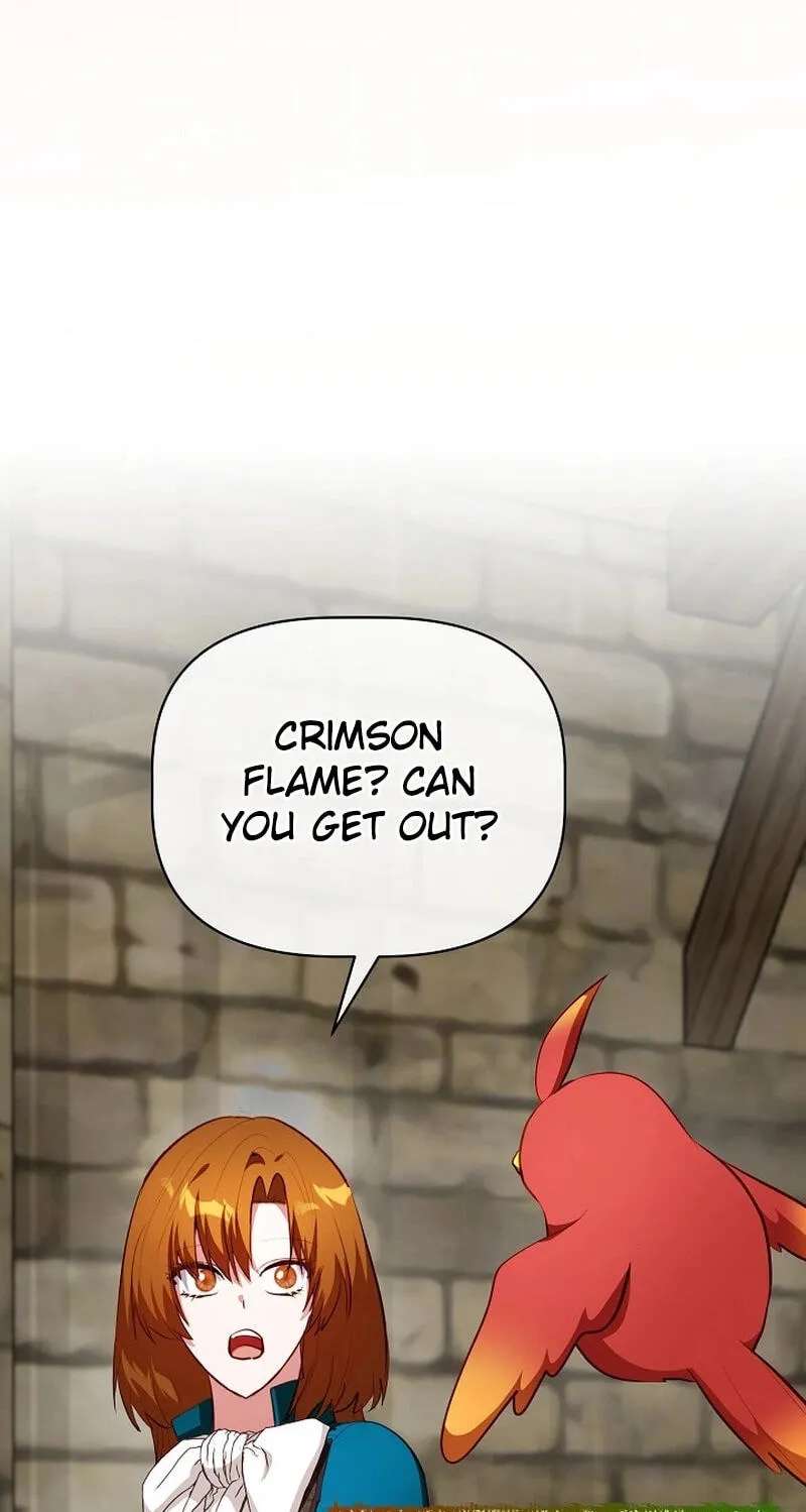 I Became the Only Healer in This World Chapter 61 - page 15