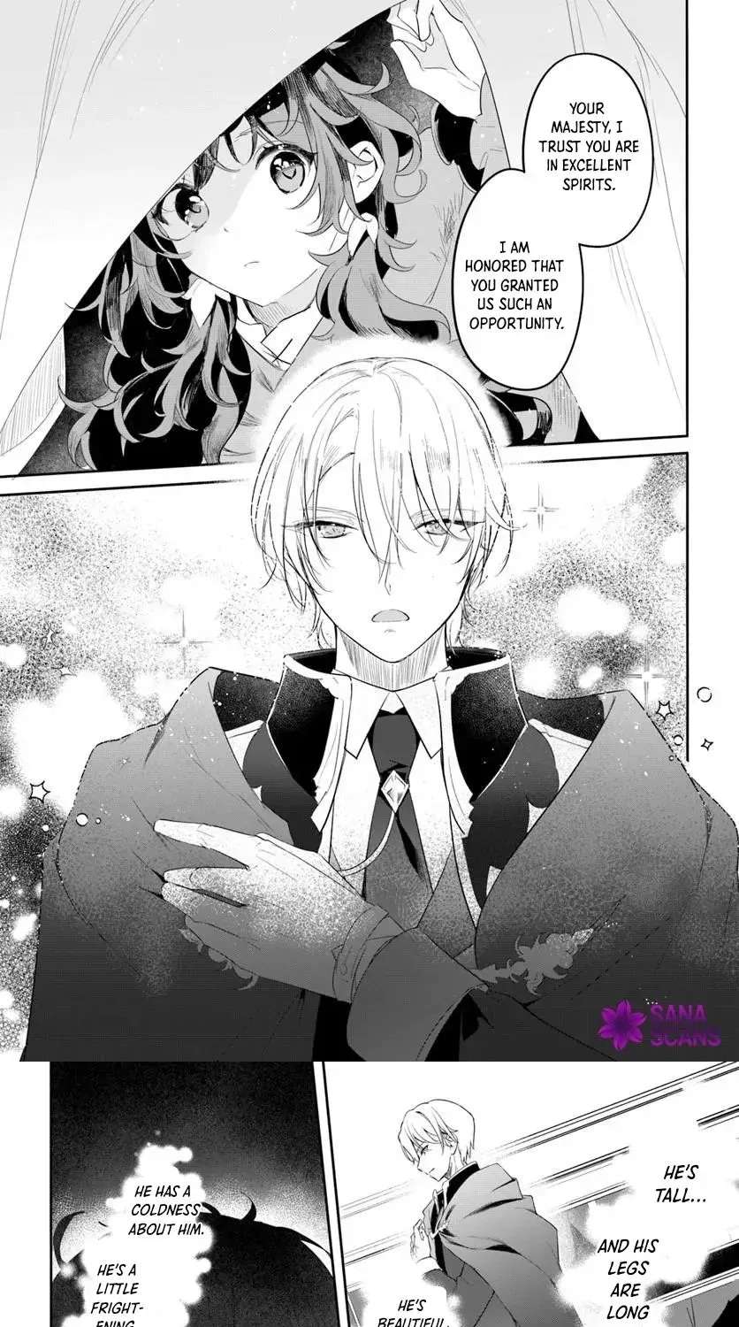 Hikikomori Reijou Nanoni, Koori no Henkyou Haku no Hanayome (※ Kikan Gentei) ni Erabarete Shimatta Chapter 1 - page 19