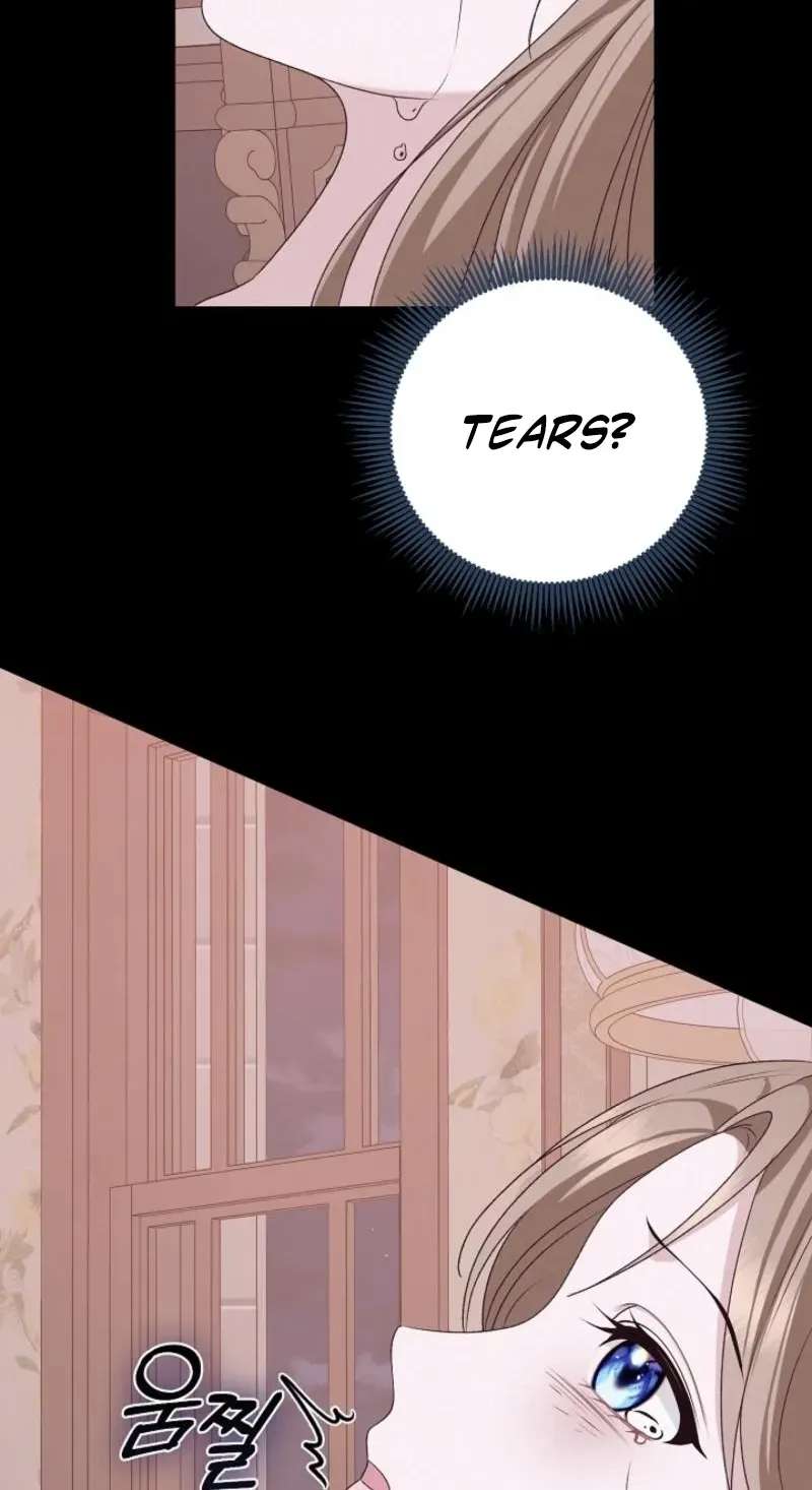 When Cinderella's Magic Fades Away Chapter 105 - page 95