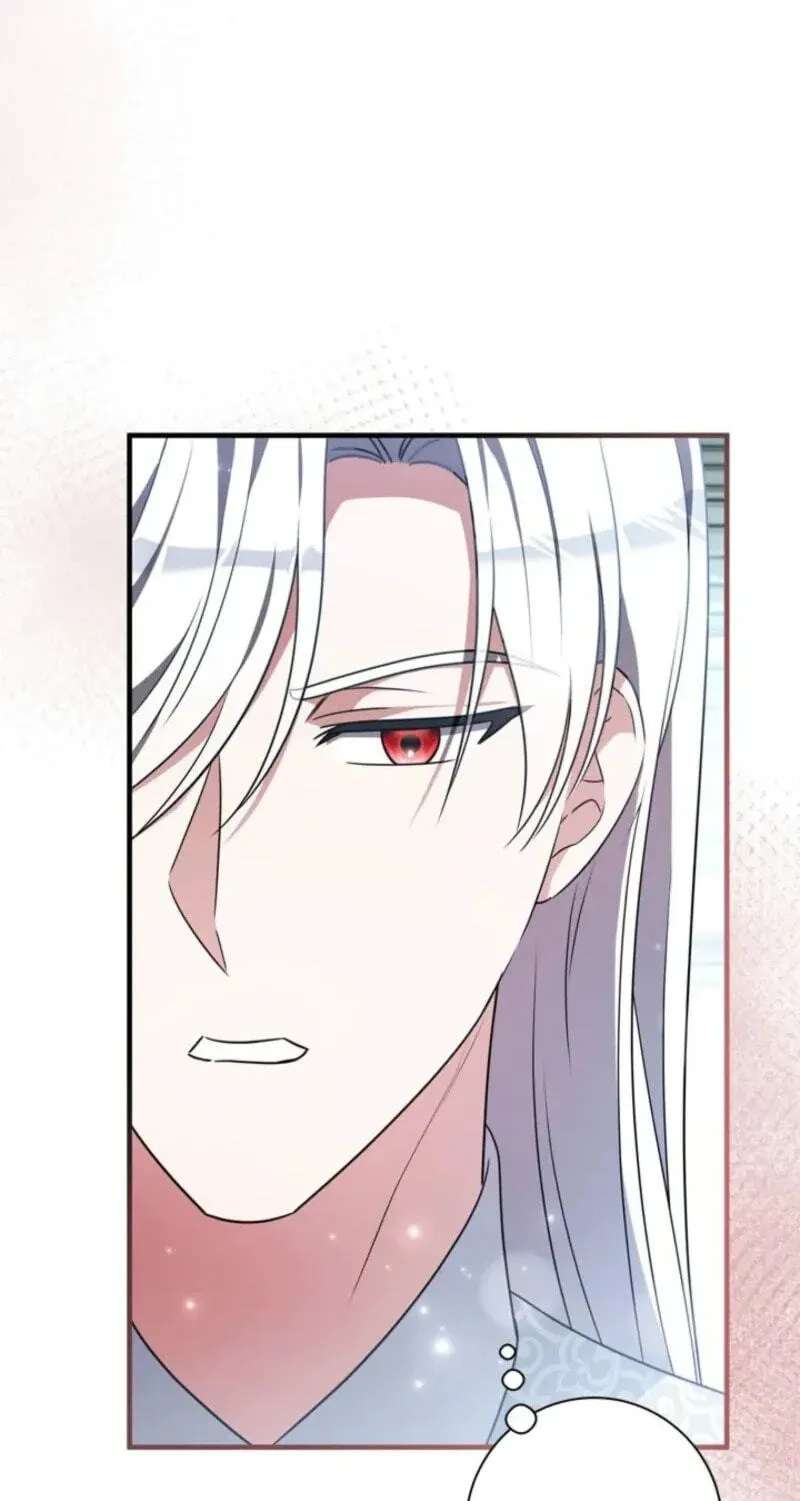 The Count's Beloved Contract Young Lady Chapter 47 - page 66