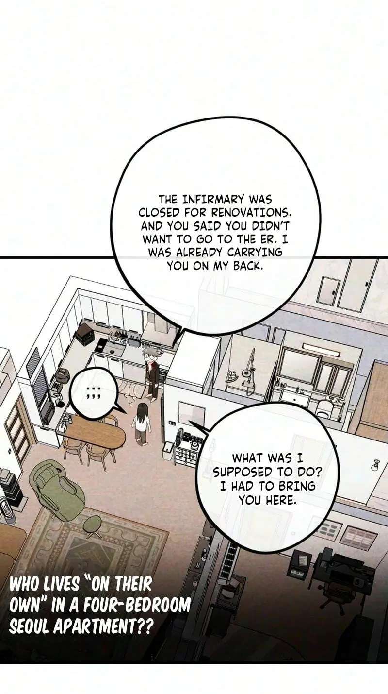 The Perfect Senior's Secret! Chapter 26 - page 15