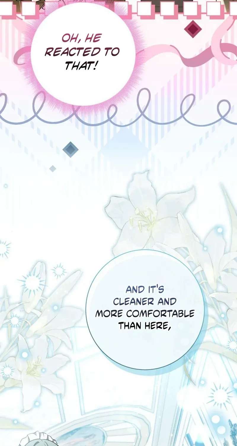 The Beloved Contract Daughter of the Count’s Family Chapter 38 - page 34