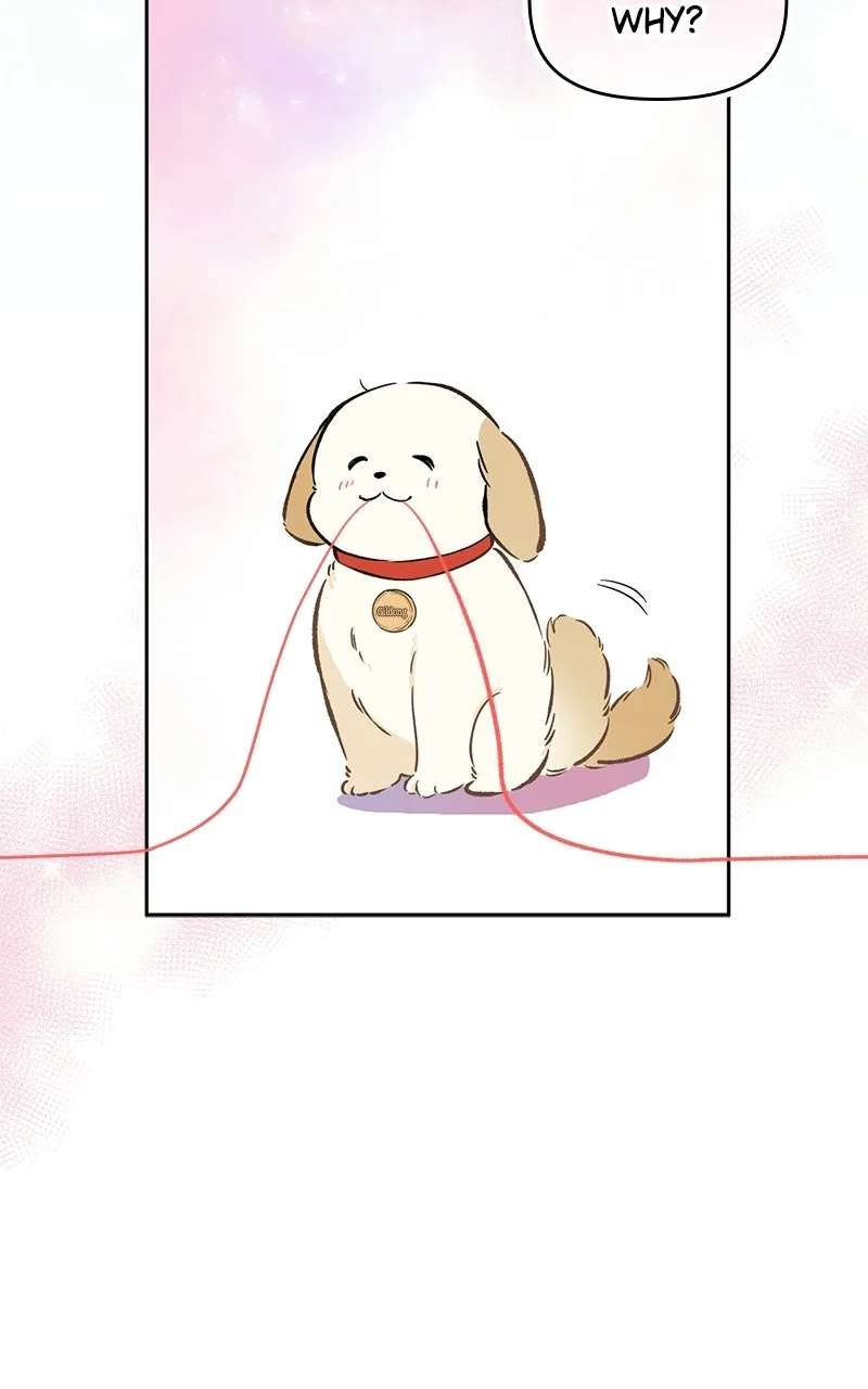 Woke Up as the CEO’s Dog Chapter 53 - page 79