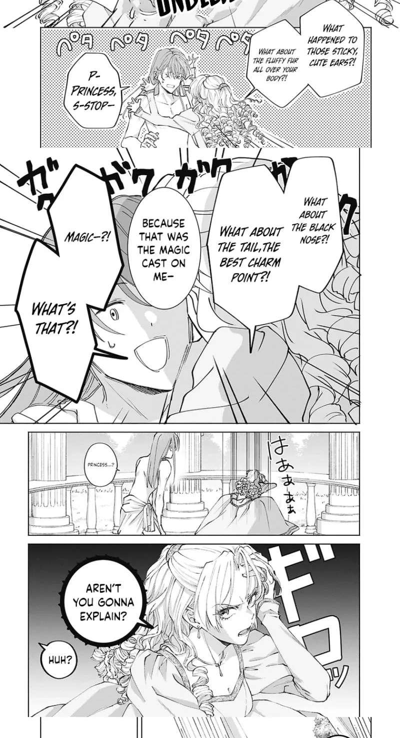 Super Beauty & the Beast: I Kissed Him and He Turned into a Prince?! Now I Have to Recast the Spell! Chapter 1 - page 24