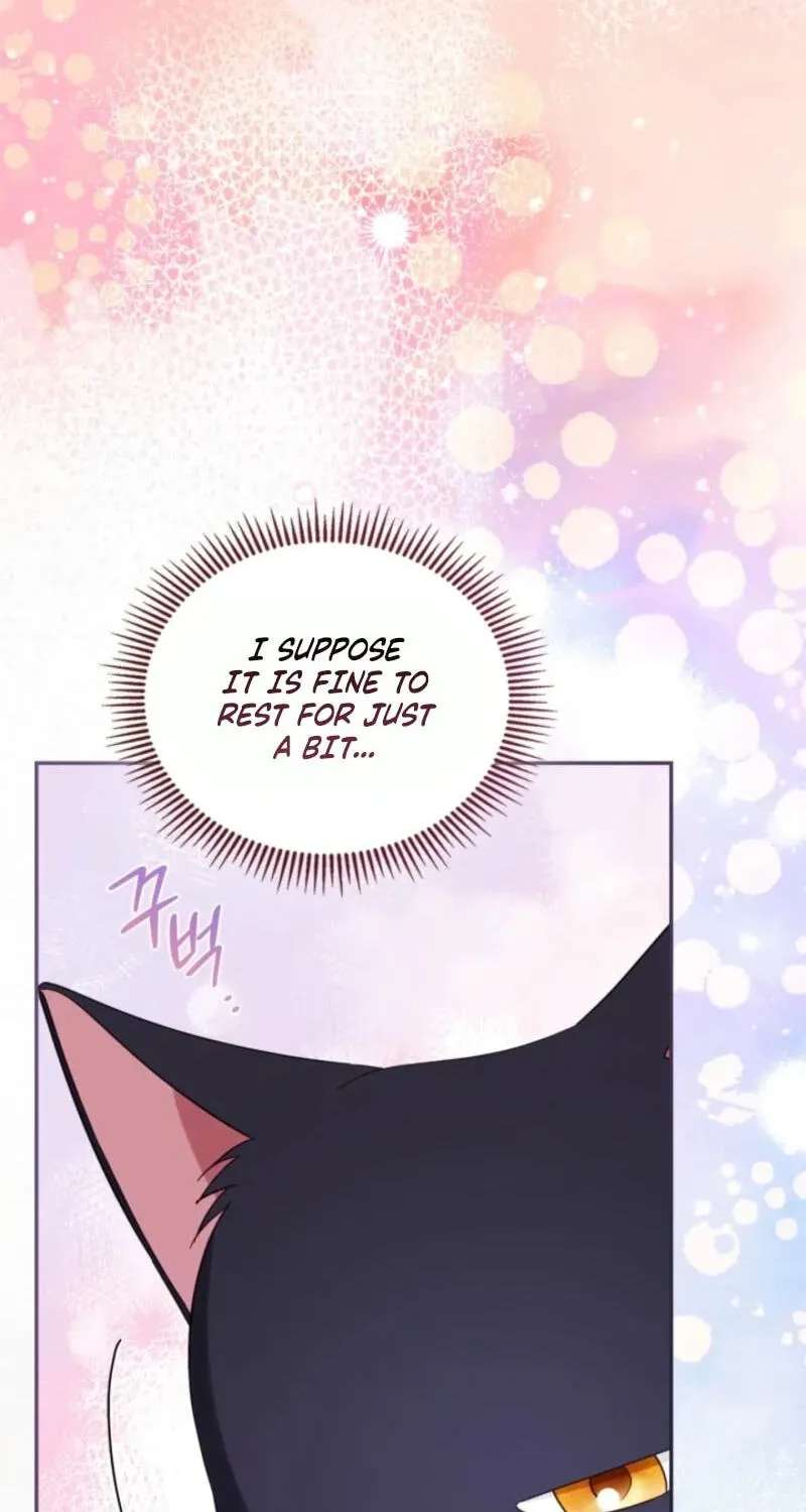 The Search for the Duchess's Husband Chapter 34 - page 74