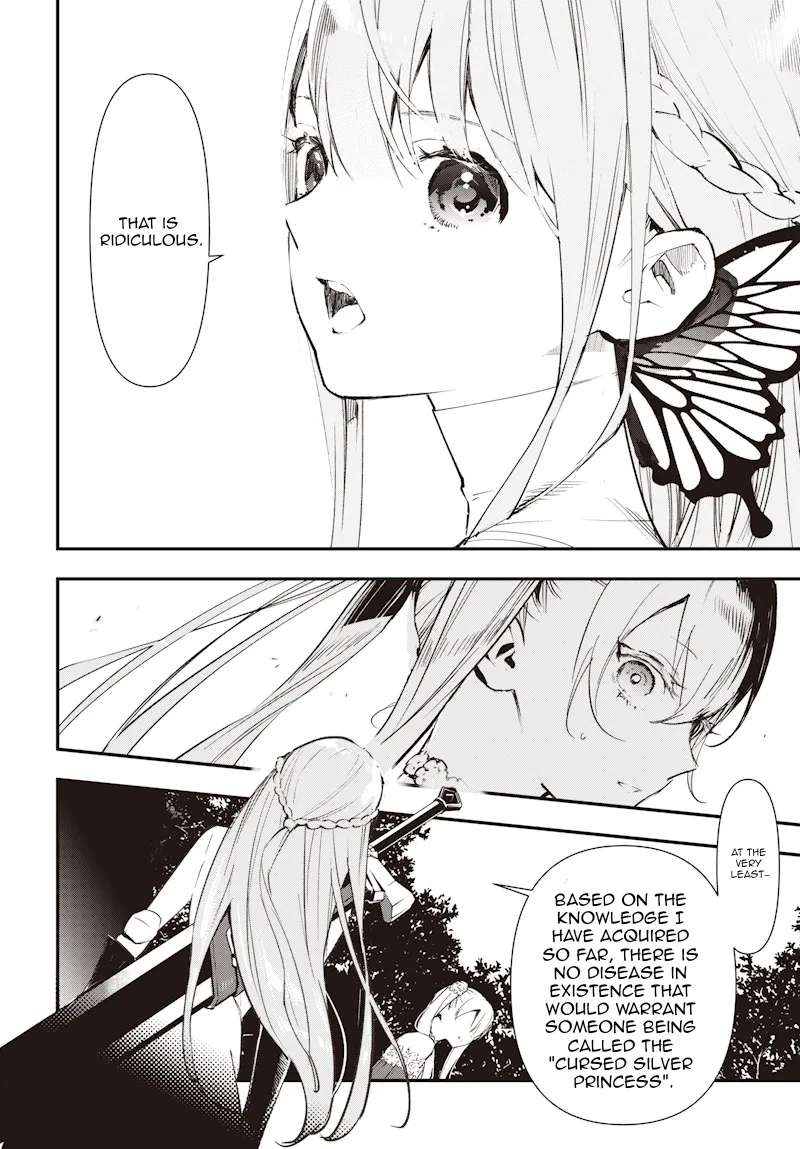 The Hero Girl and the Cursed Silver Princess Chapter 1 - page 37