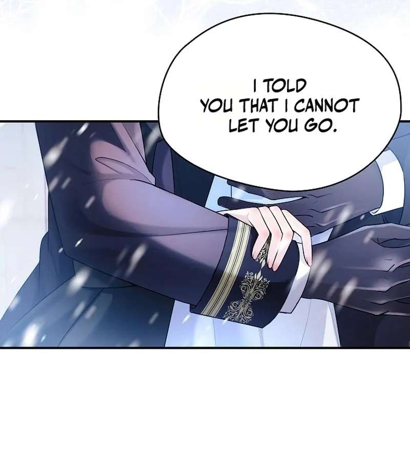 The Grand Duchess Disappeared on a Silent Night Chapter 27 - page 28