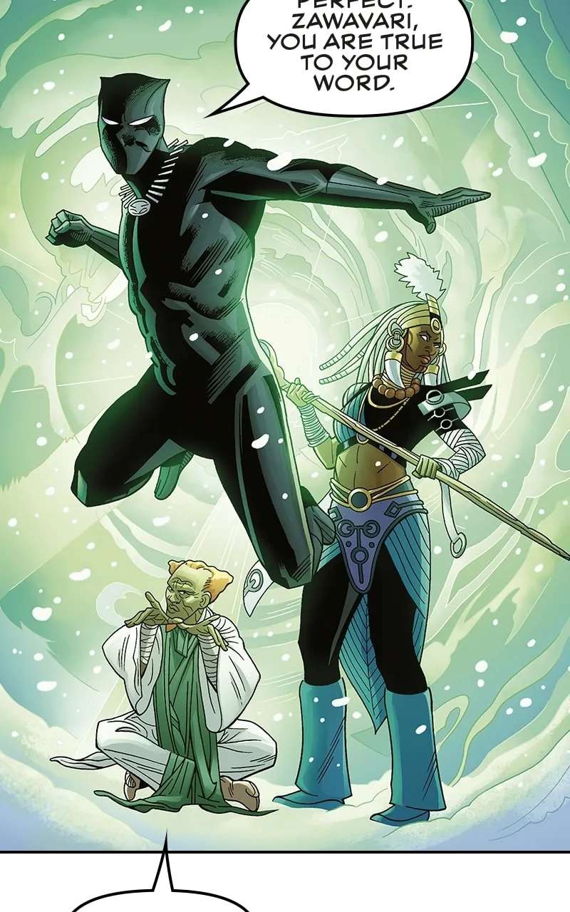 Black Panther:A Nation Under Our Feet Chapter 29 - page 20