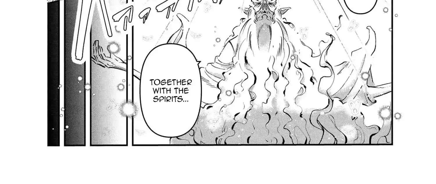 Yuusha Party wo Tsuihousareta Seireijutsushi - Saikyou-kyuu ni Kakusei shita Fuguu-shoku, Shin no Nakama to Godai Dungeon wo Seiha suru Chapter 6 - page 13