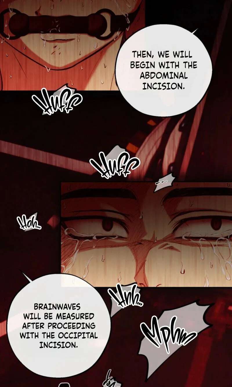 Dawning Light Chapter 33 - page 64