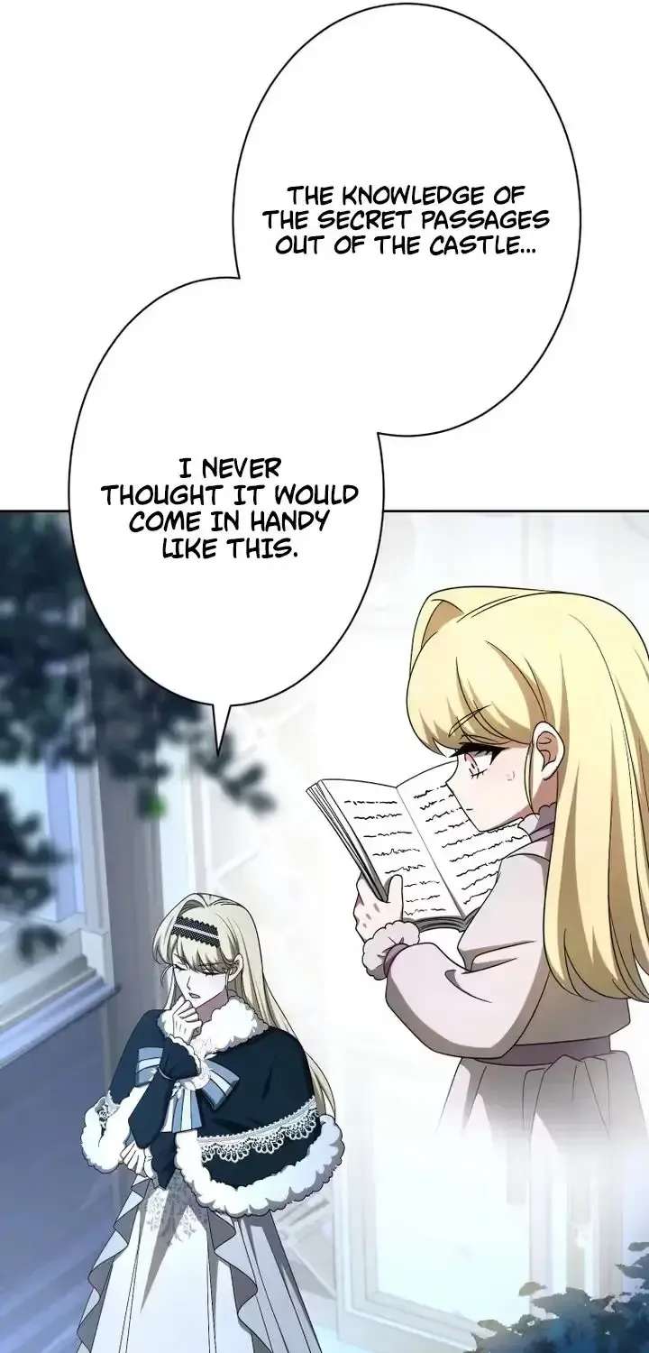 Don’t Obsess Over the Fake Princess! Chapter 40 - page 89
