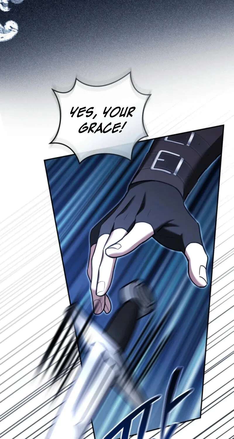 Even if I Hide My Power, the Noble Lady Is the Strongest Chapter 47 - page 15